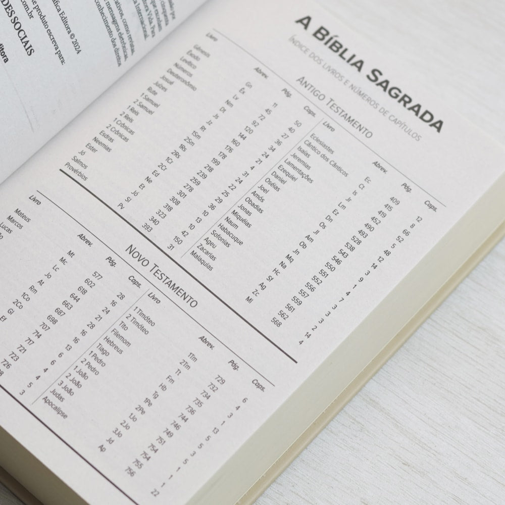 Bíblia Sagrada Cordeiro e Leão | NVI | Letra Normal | Capa Dura