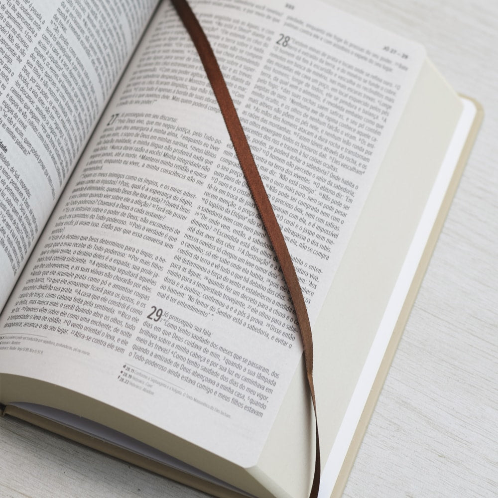 Bíblia Sagrada Cordeiro e Leão | NVI | Letra Normal | Capa Dura