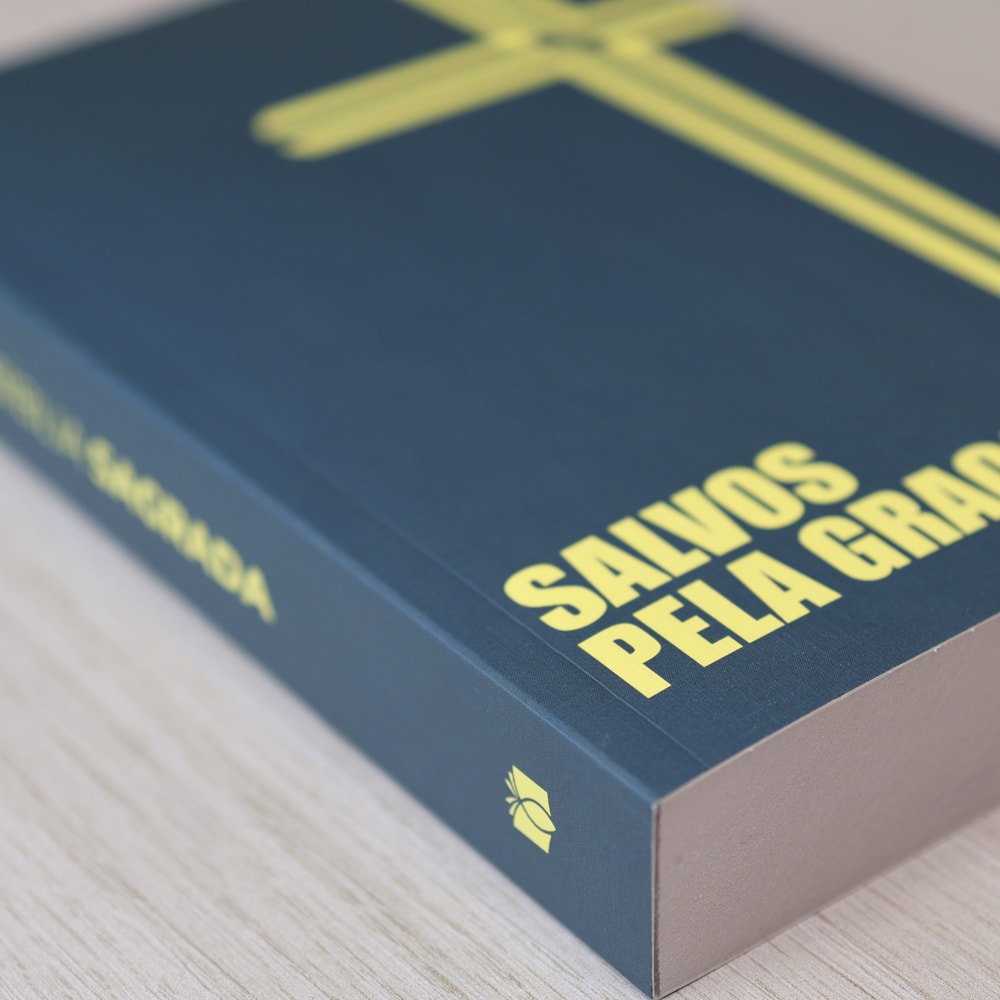 Bíblia Sagrada Cruz | NVI | Capa Brochura Verde