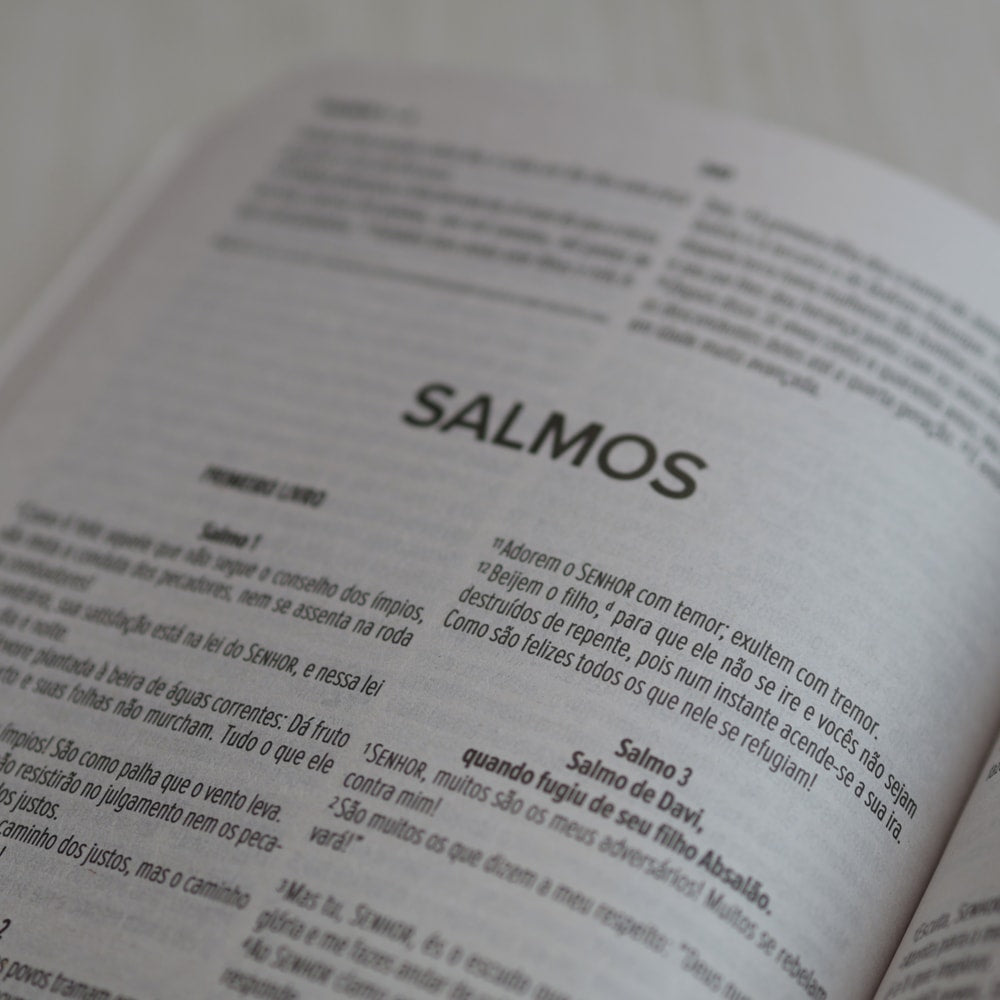 Bíblia Sagrada Lettering | NVI | Capa Brochura Azul