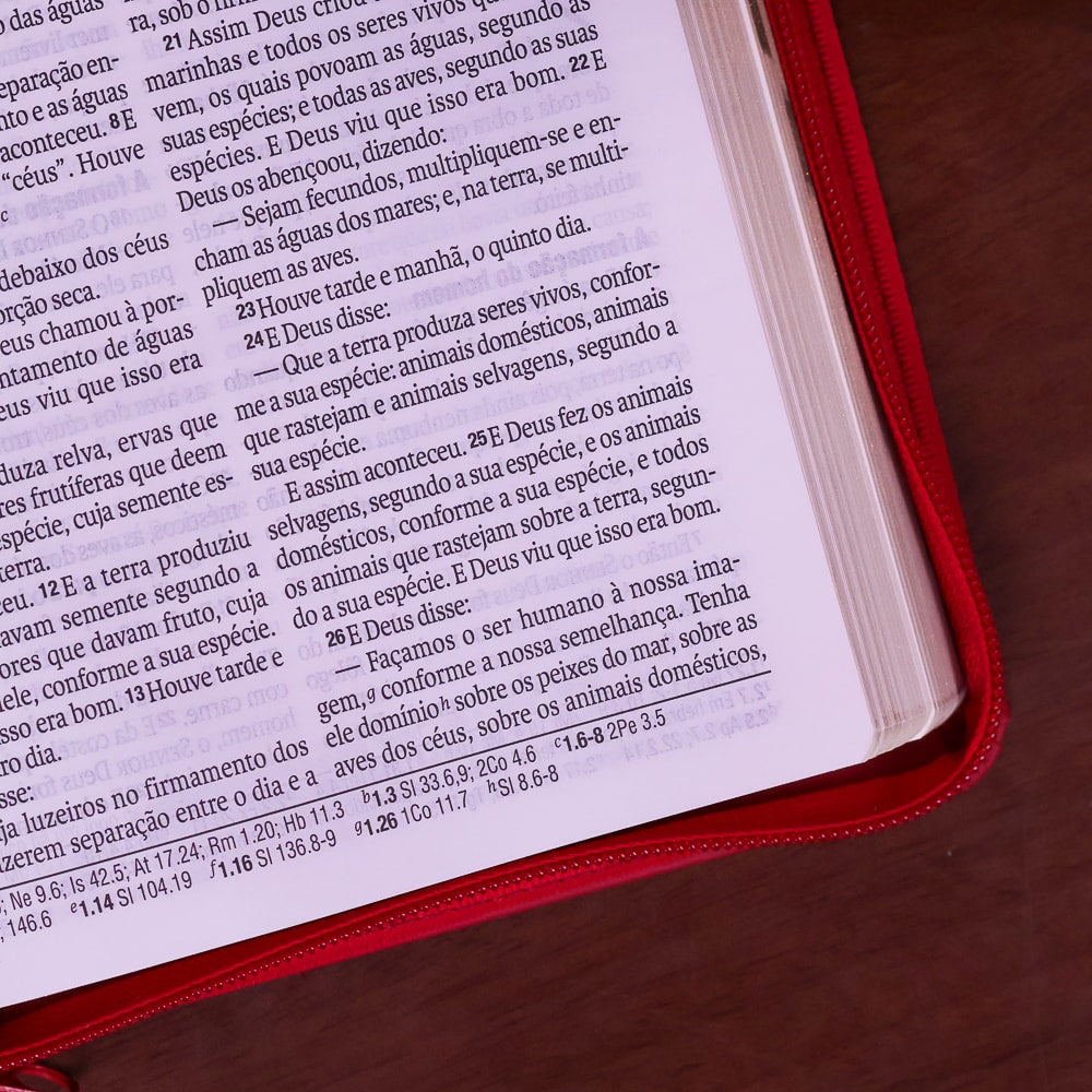 Bíblia Sagrada | NAA | Letra Grande | Com Zíper | Vermelha Cruz