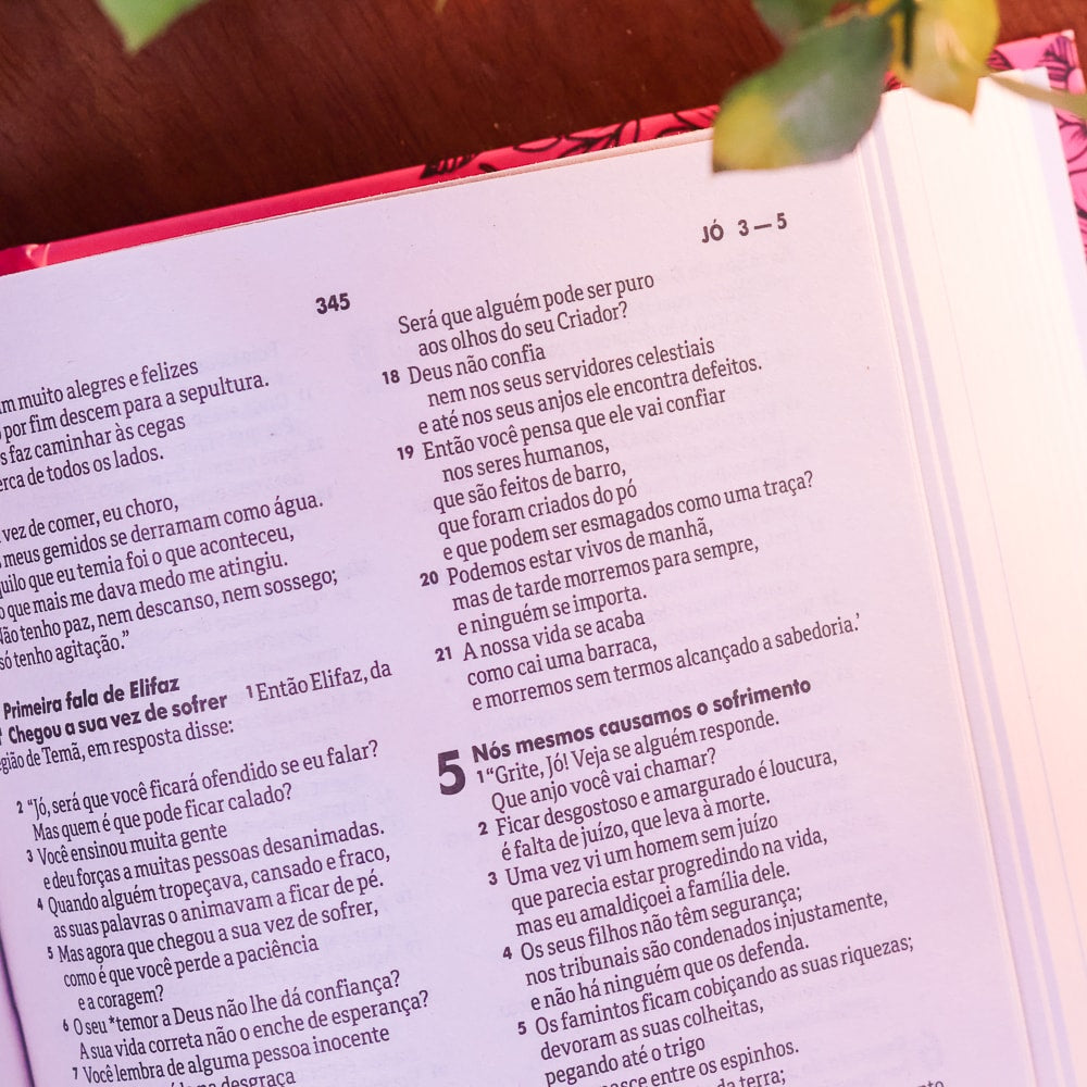 Bíblia Sagrada | NTLH | Leão Pink