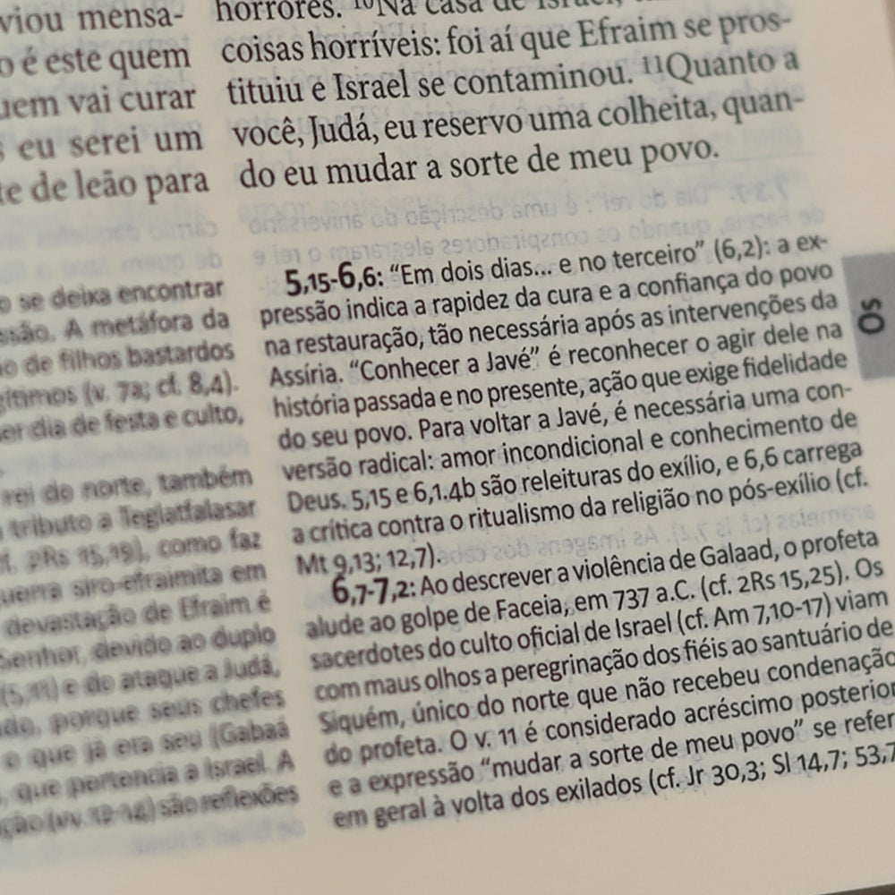 Bíblia Pastoral | Letra Normal | Capa Dura Jardim | Edição Católica