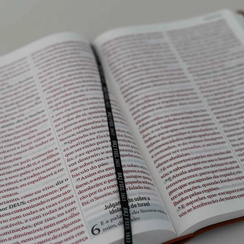 Bíblia King James 1611 | Letra Hipergigante | Capa Luxo Marrom