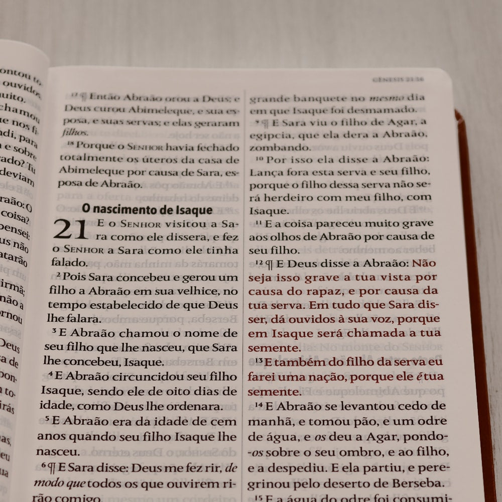 Bíblia King James 1611 | Letra Hipergigante | Capa Luxo Marrom