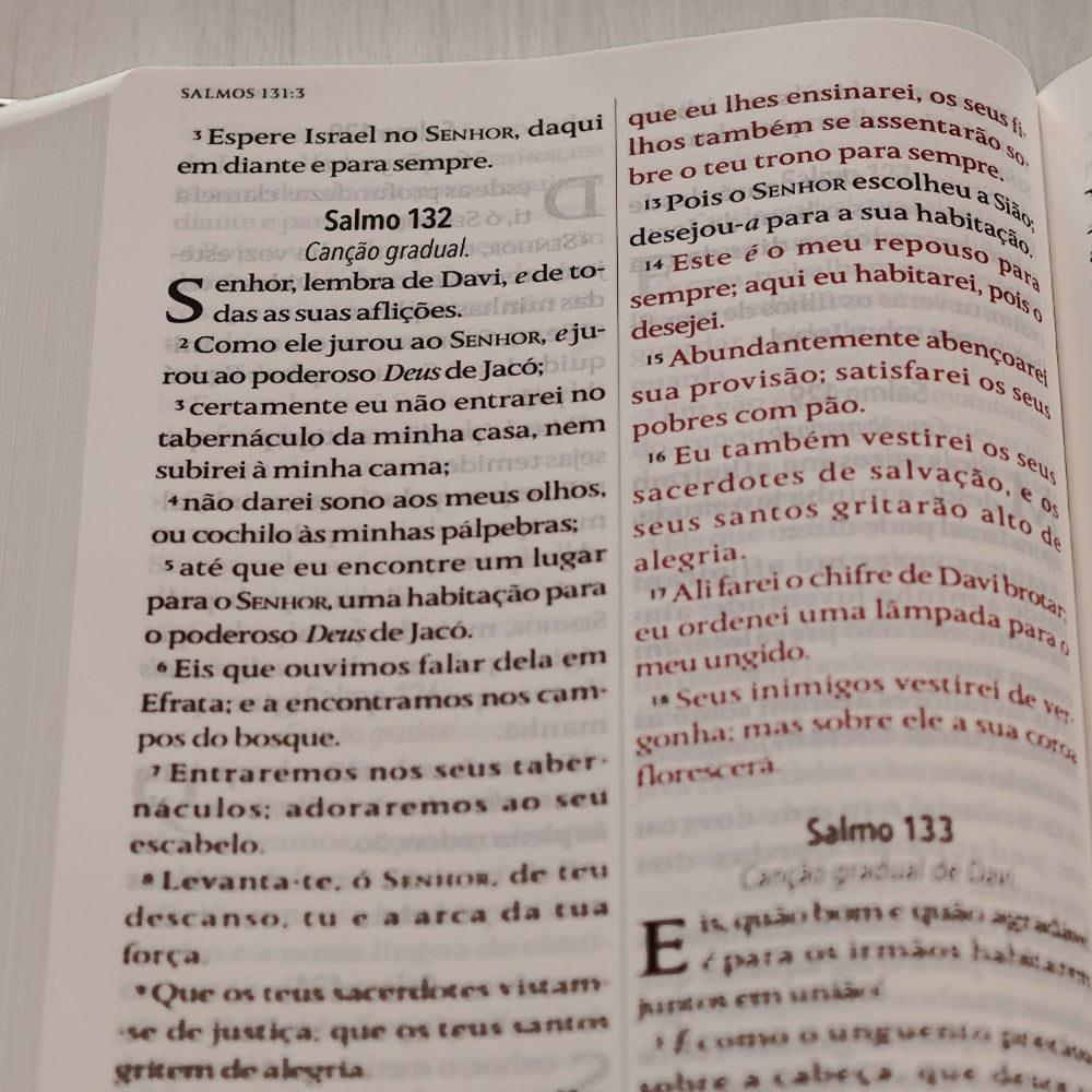 Bíblia King James 1611 | Letra Hipergigante | Capa Luxo Marrom