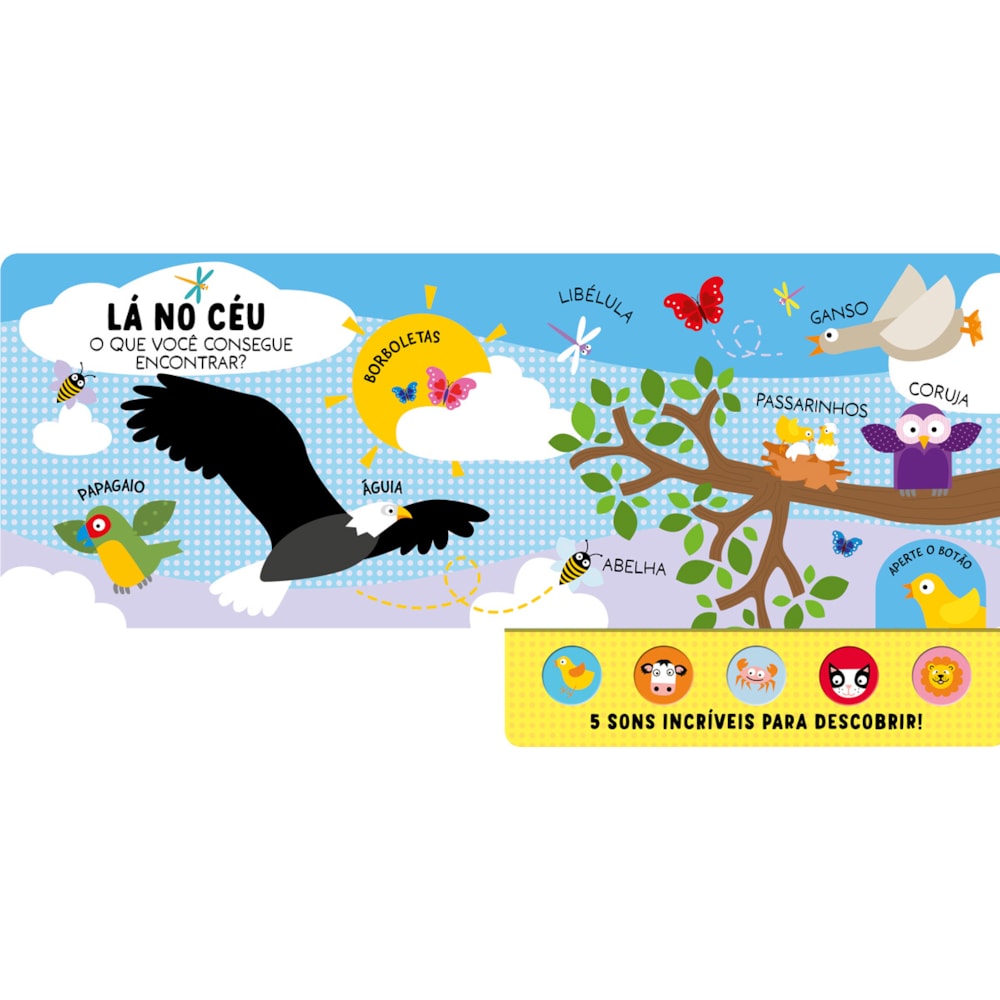 Conhecendo os Animais | Ciranda Cultural