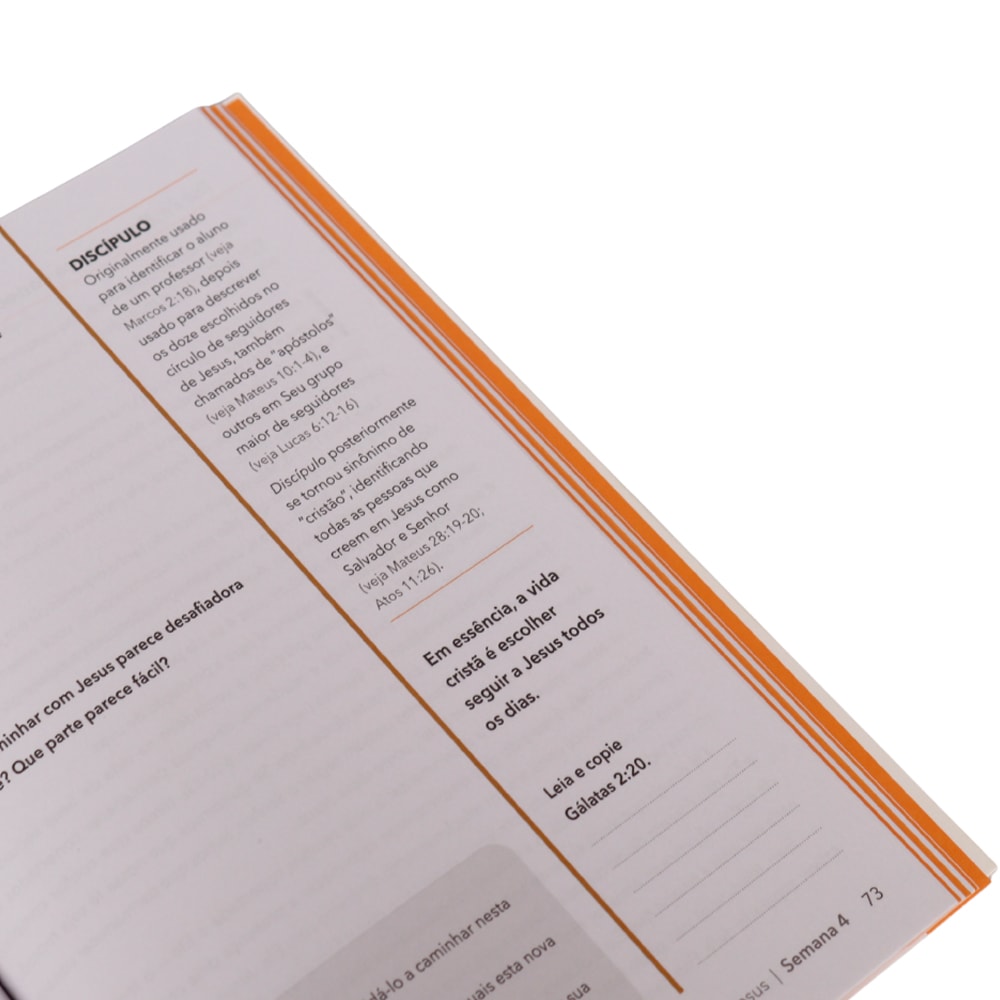 Minha Nova Vida | Cynthia Hopkins