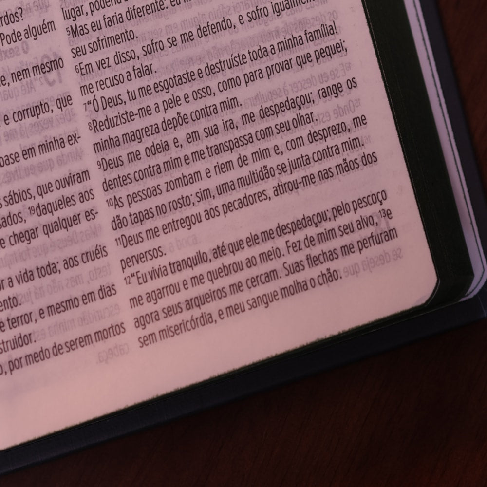 Bíblia Sagrada Slim Buquê | NVT | Capa Dura