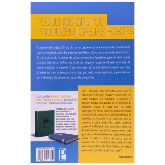 Pequenos Grupos Com Propósitos | Steve Gladen