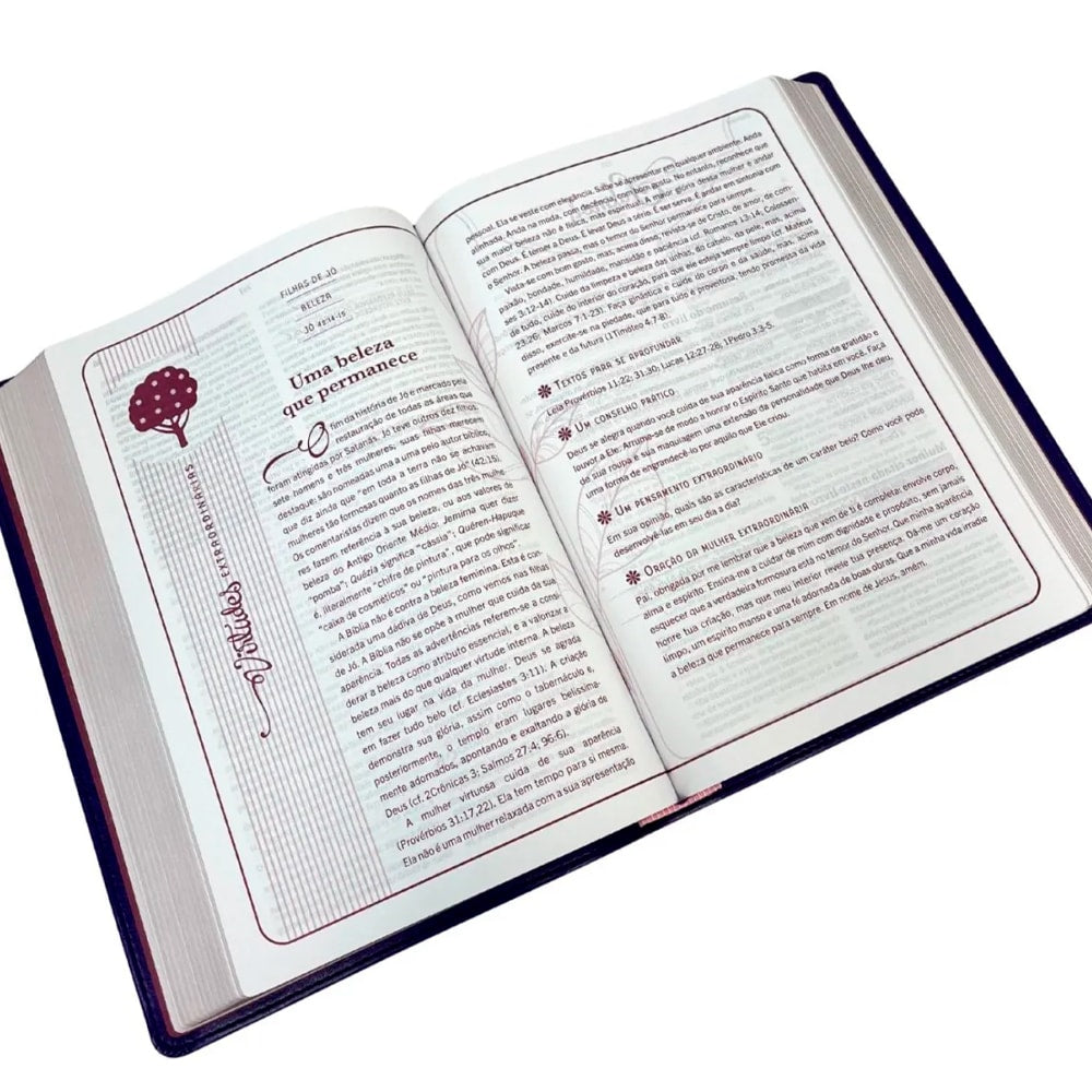 Bíblia Mulher Extraordinária | King James Clássica | Hernandes Dias Lopes | Preta