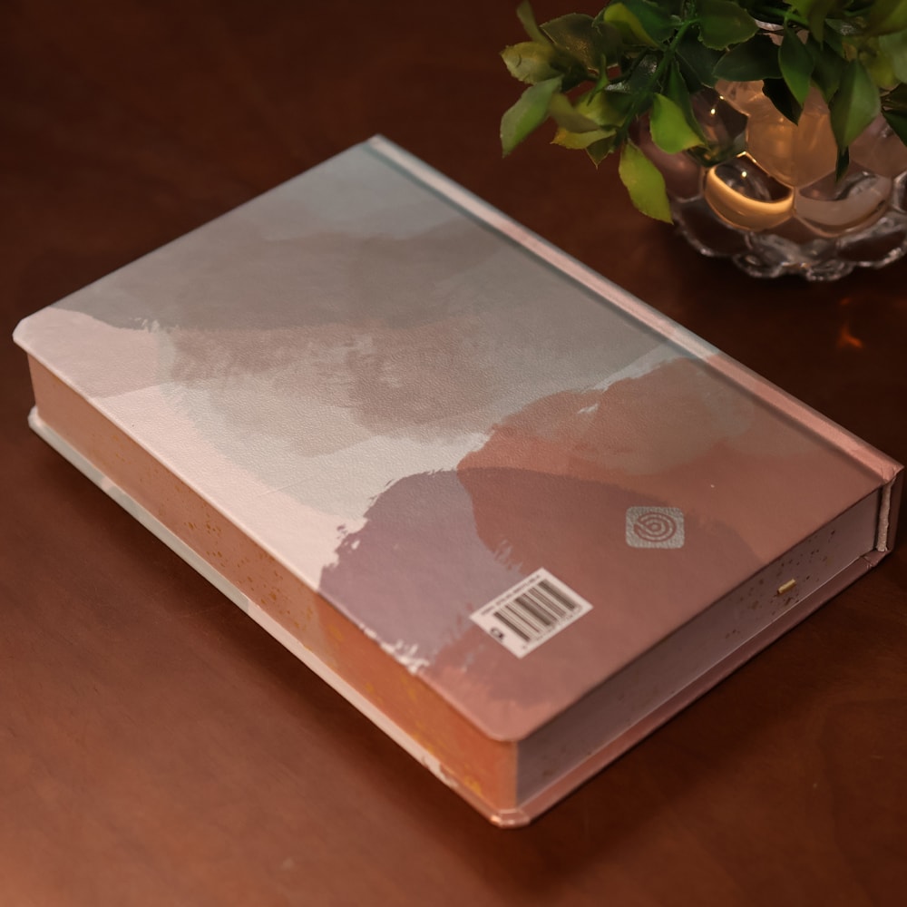 Bíblia Essencial Salmão | NVI | Capa Dura