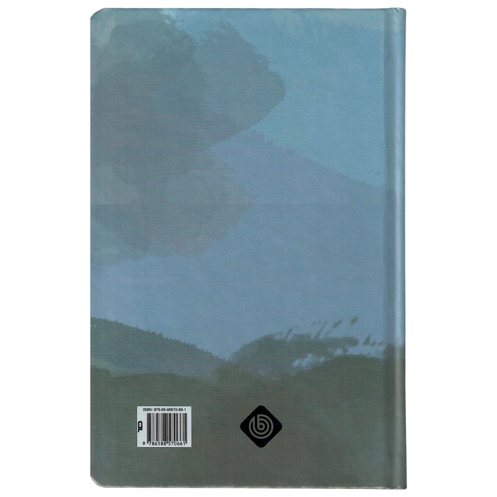 Bíblia Essencial Azul | NVI | Capa Dura