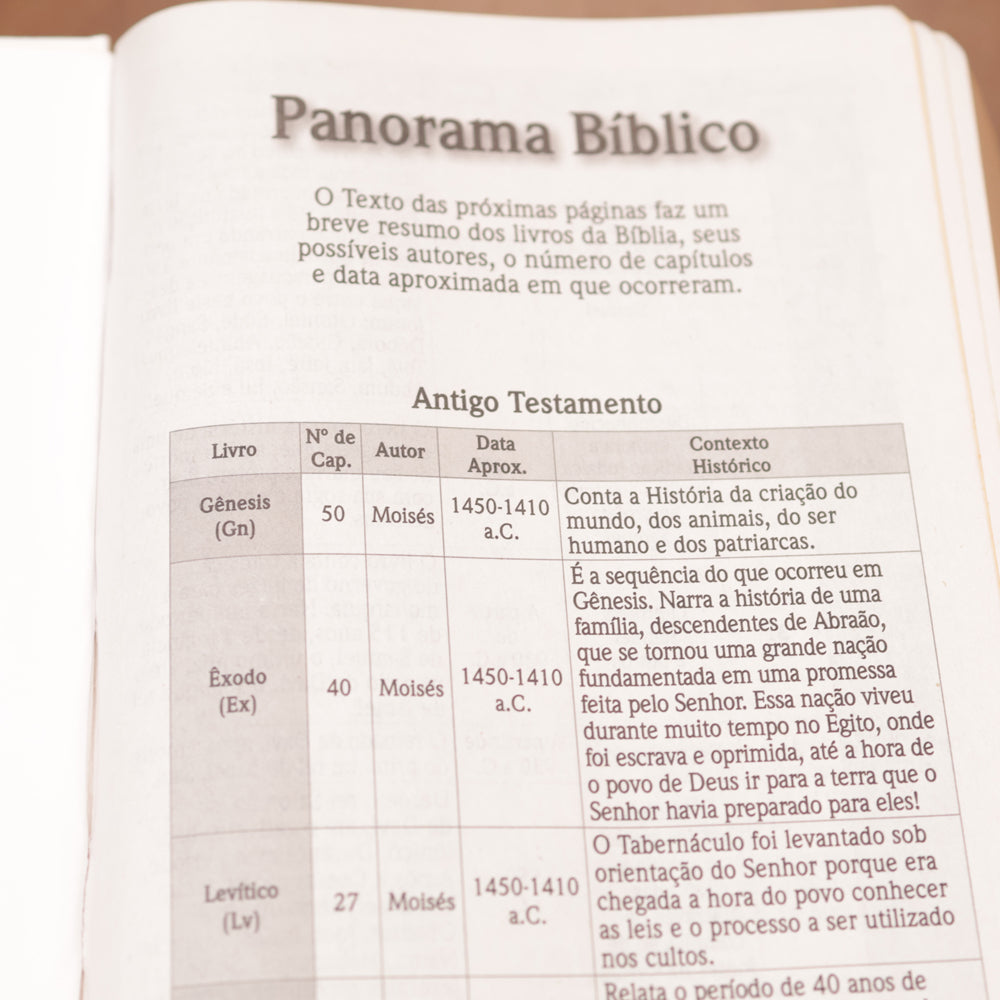 Bíblia Sagrada Floresça | NVI | Letra Maior | Capa Dura