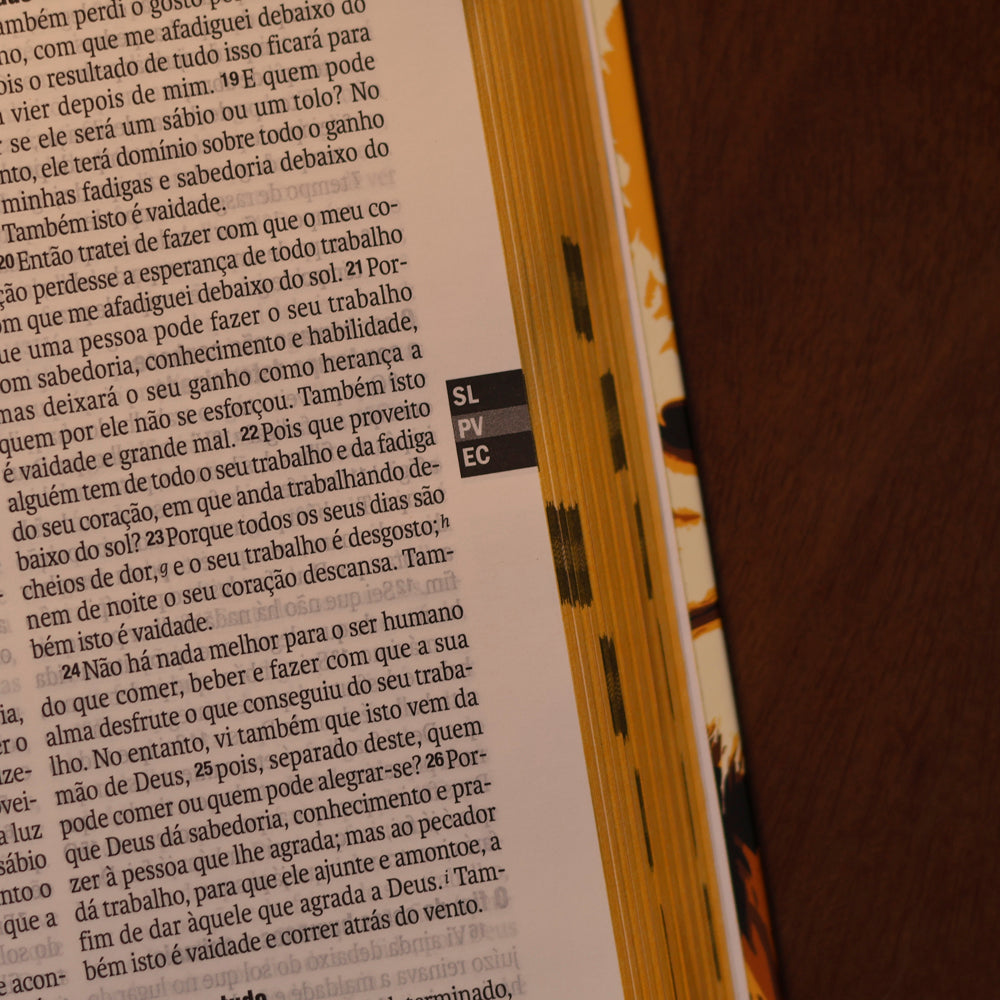 Bíblia Aslam Gold | NAA | Letra Grande | Capa Dura