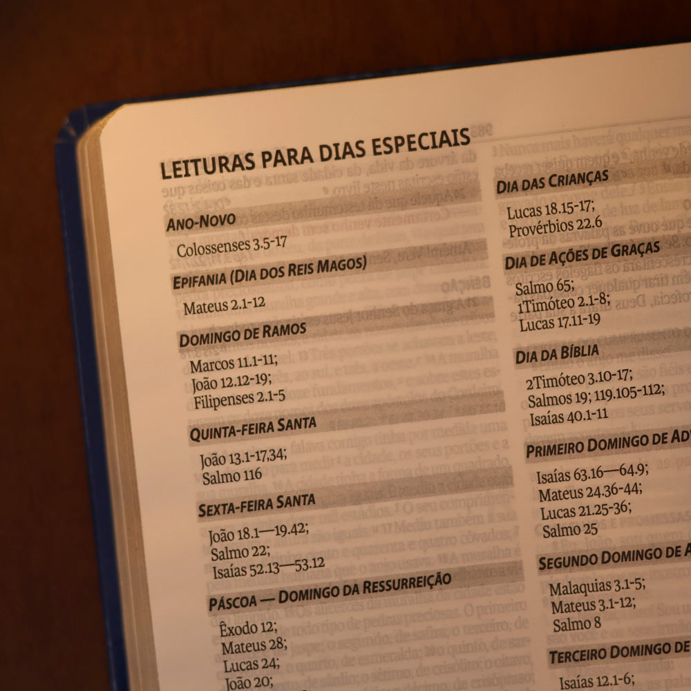 Bíblia Sagrada Cruz Prata | Letra Normal | NAA | Capa Dura Azul
