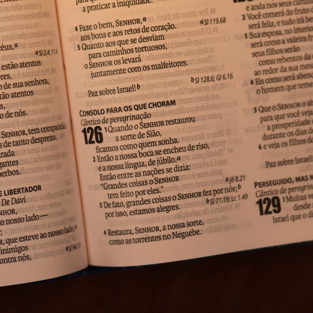 Bíblia Sagrada Cruz Prata | Letra Normal | NAA | Capa Dura Azul