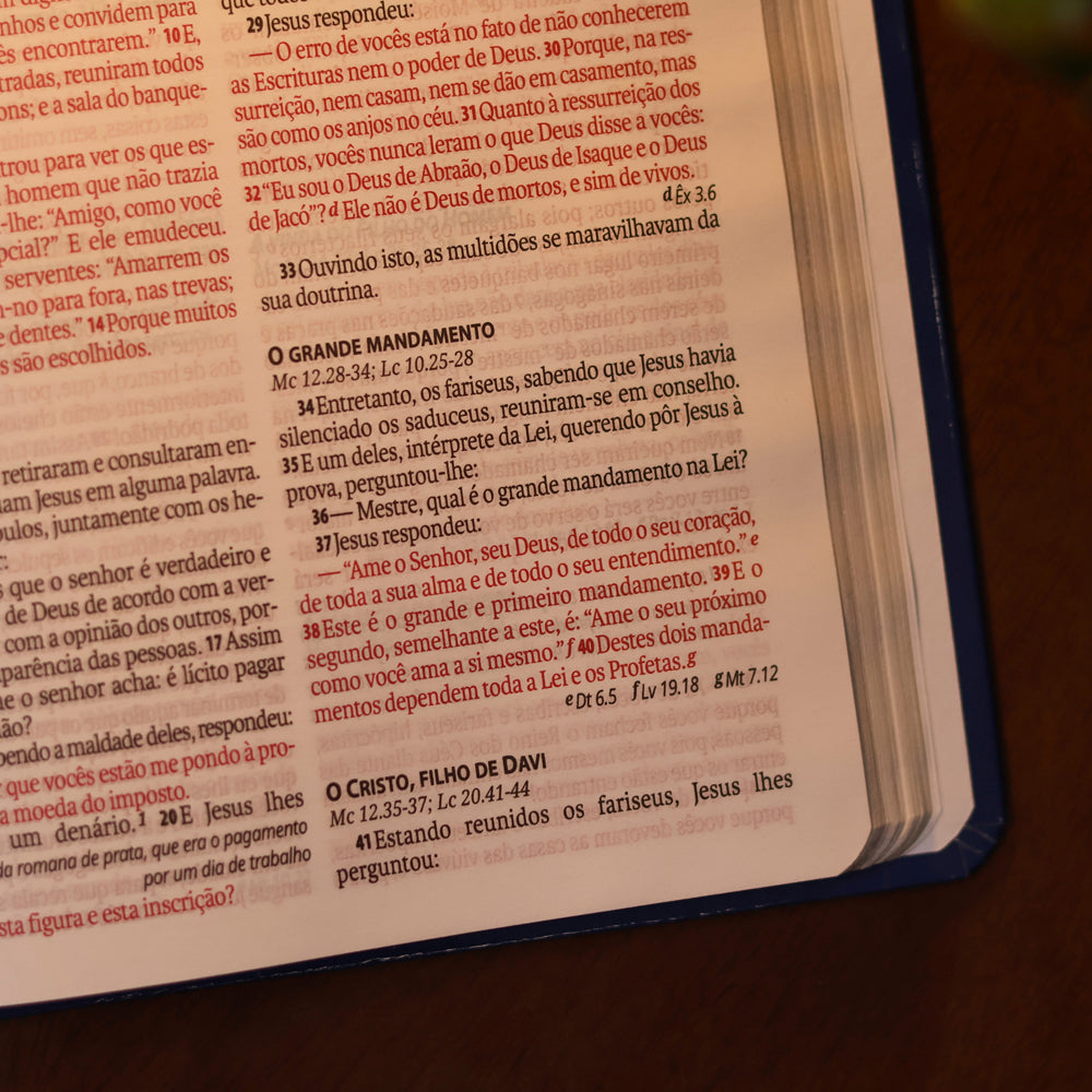 Bíblia Sagrada Cruz Prata | Letra Normal | NAA | Capa Dura Azul