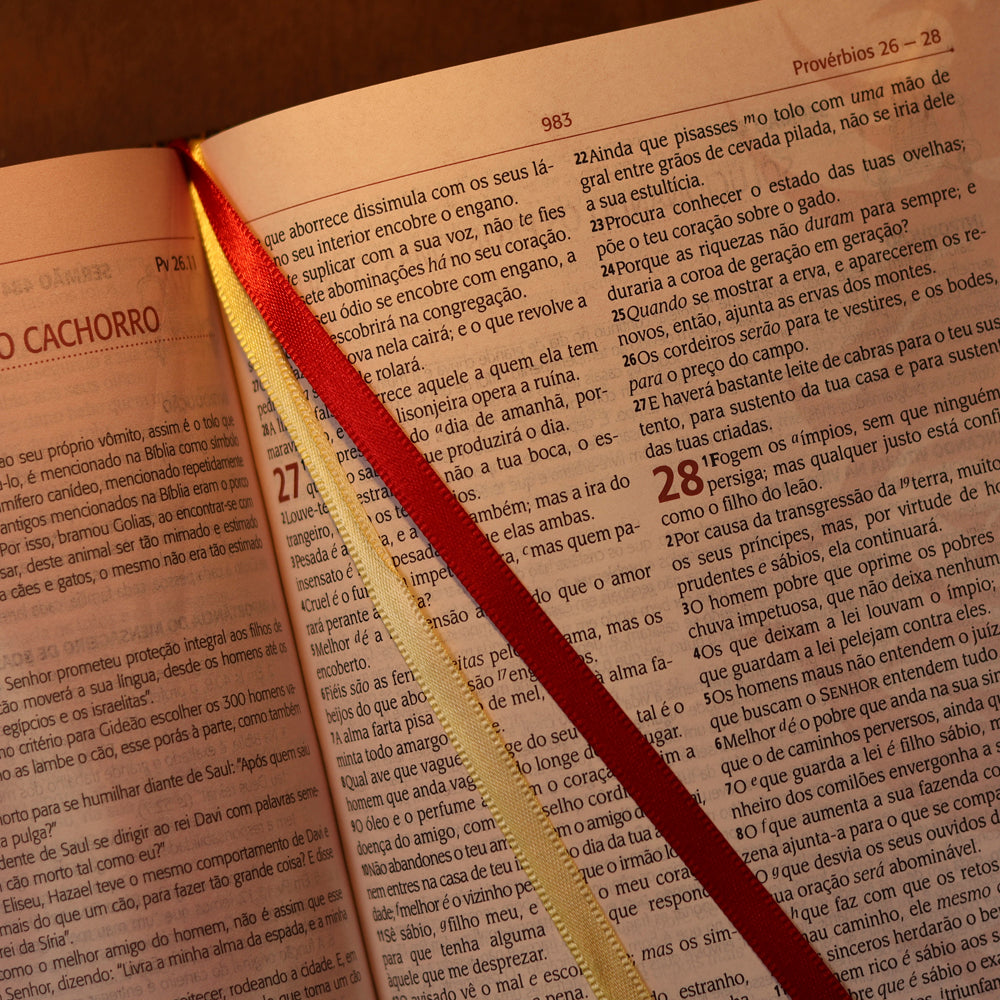 Bíblia do Pregador Pentecostal Média | ARC | Letra Normal | Capa Luxo Marrom