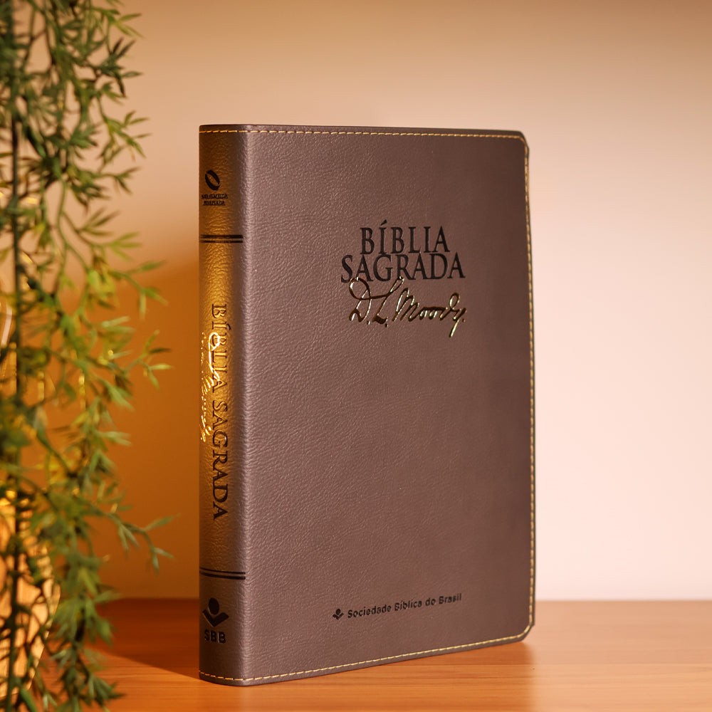 Bíblia Sagrada | NAA | D.L. Moody | Cinza