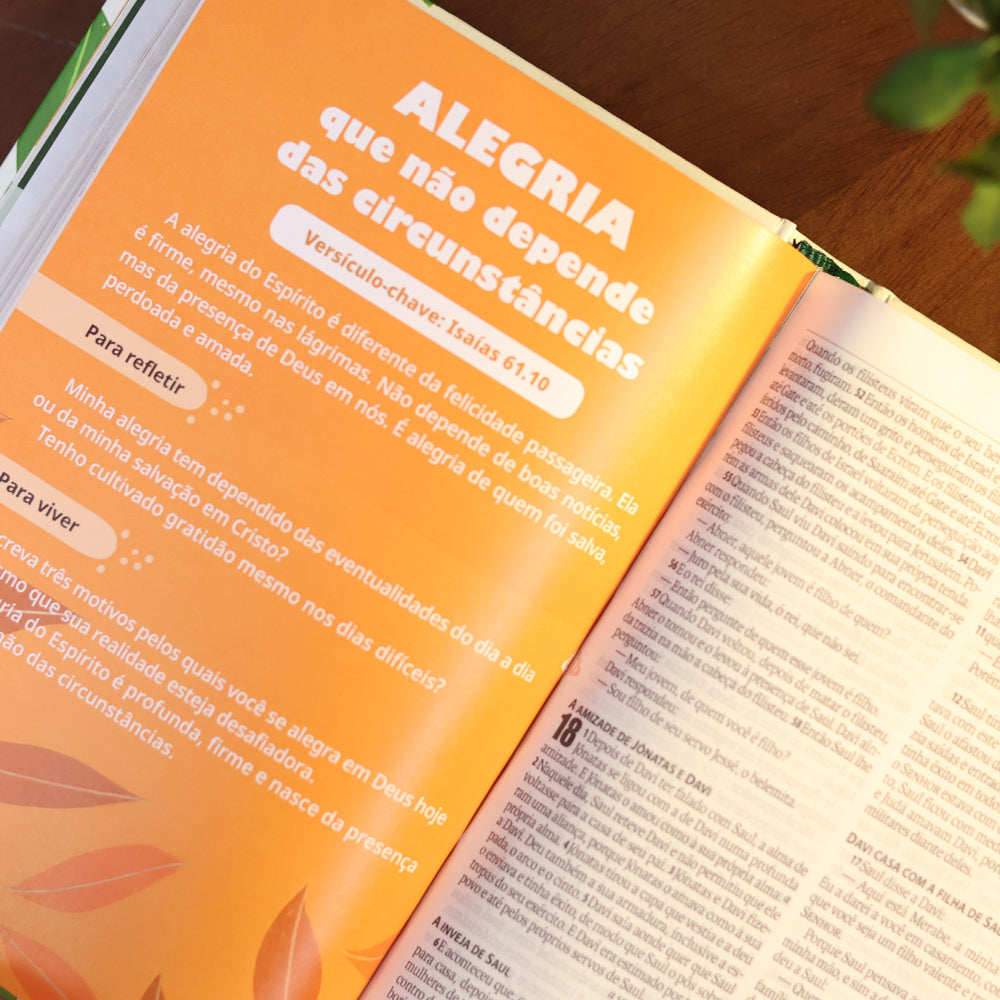 Bíblia Sagrada Fruto do Espírito | NAA | Capa Dura Branca