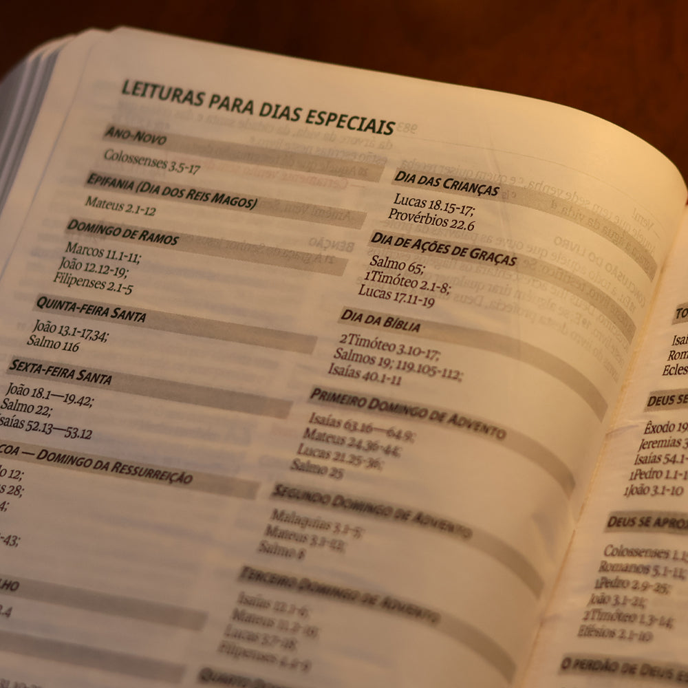 Bíblia Sagrada Slim | NAA | Marrom | Editora SBB