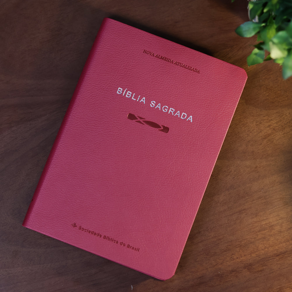 Bíblia Sagrada Slim | NAA | Pink