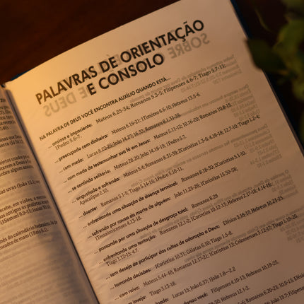 Bíblia Sagrada Pássaros | NTLH | Capa Dura Azul Claro