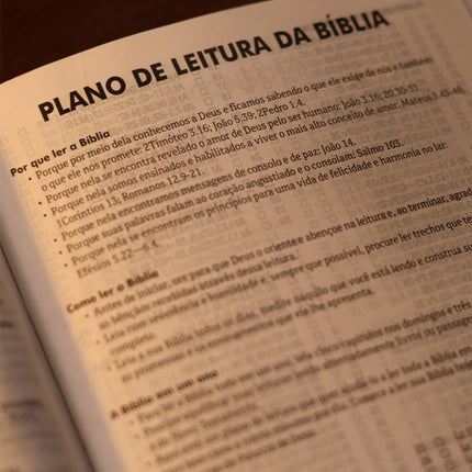 Bíblia Sagrada Jesus no Barco | ARA | Capa Dura Pink