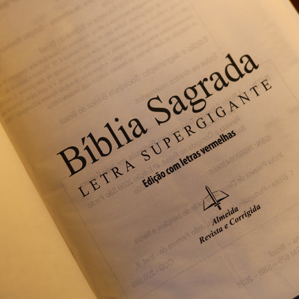 Bíblia Sagrada | ARC | Letra Supergigante |  Capa Aston Vinho e Rosa