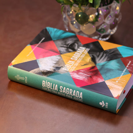 Bíblia Sagrada Leão | NTLH | Para Jovens