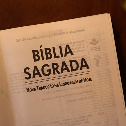 Bíblia Sagrada | NTLH | 3 Palavrinhas | Capa Brochura