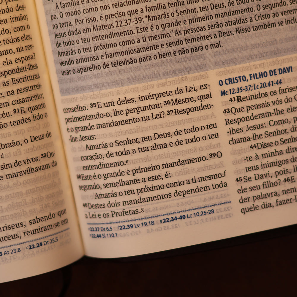 Bíblia da Família | ARA |  Letra Normal | Capa Marrom