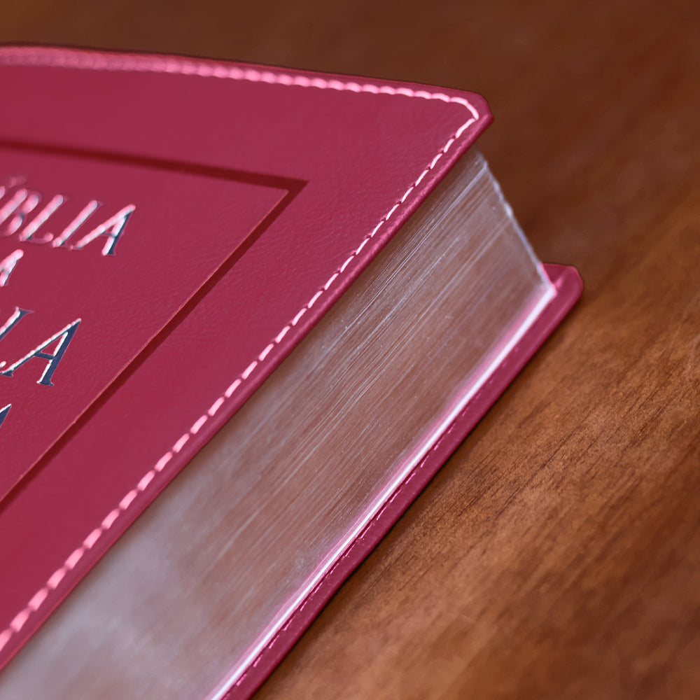 Bíblia da Escola Bíblica | NAA | Letra Normal |  Capa Pink