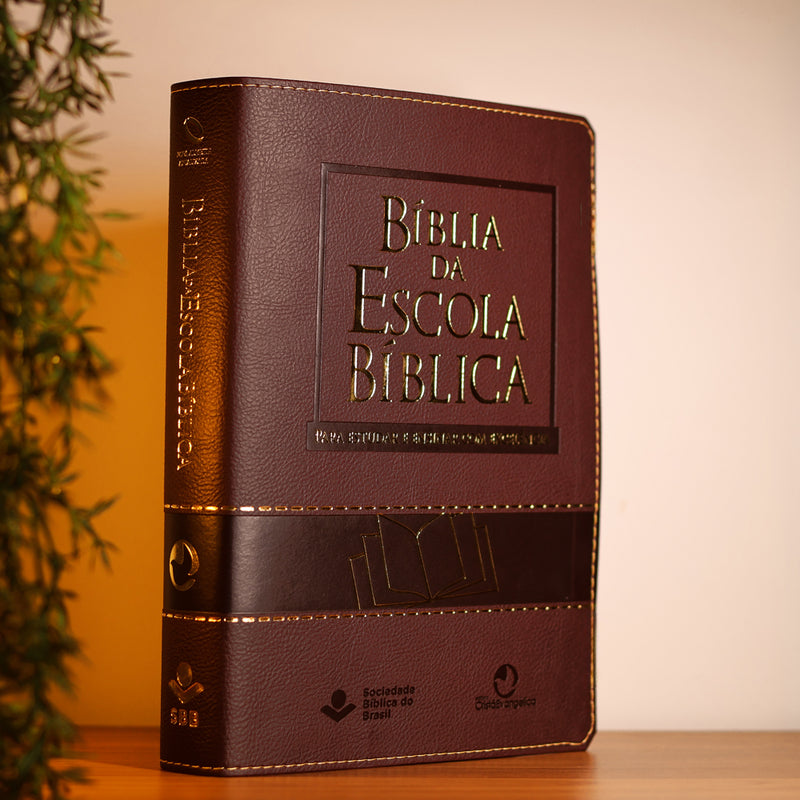 Bíblia da Escola Bíblica | NAA | Letra Normal |  Capa Vinho
