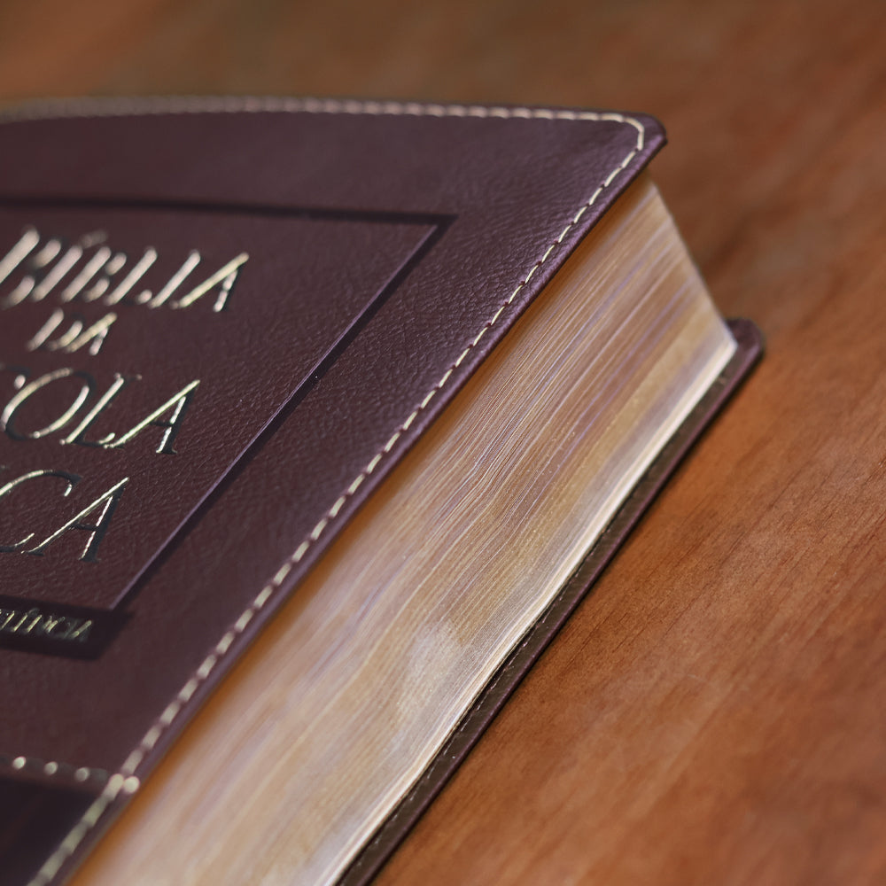 Bíblia da Escola Bíblica | NAA | Letra Normal |  Capa Vinho