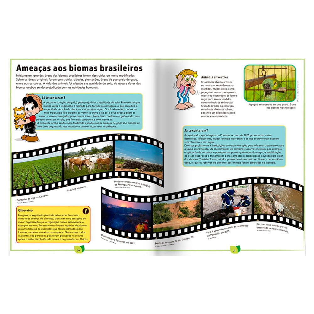 Chico Bento | Natureza e os Biomas Brasileiros | Nina Nazario