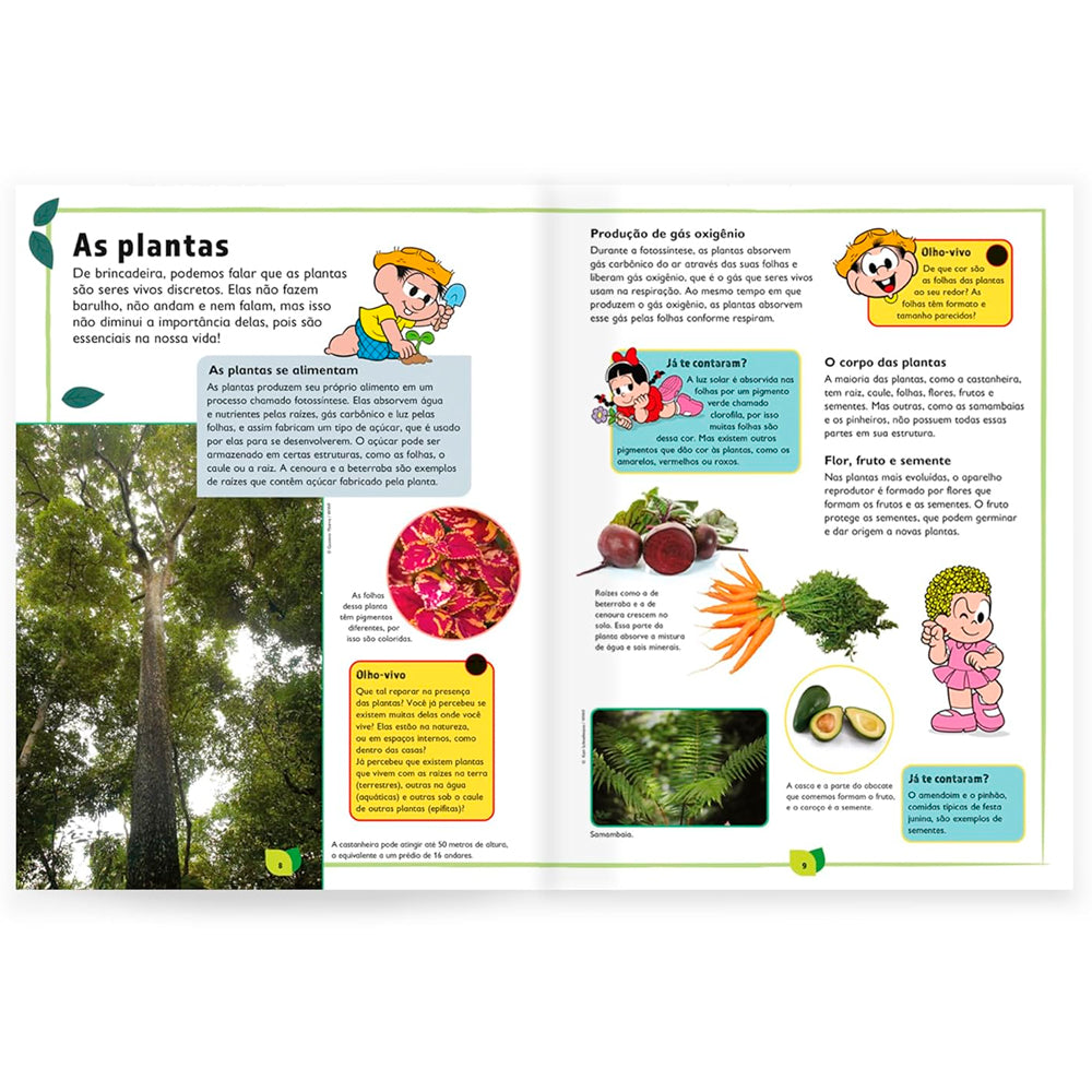 Turma da Mônica | Pequeno Manual do Meio Ambiente