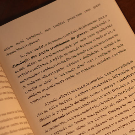 Entre a Cruz e a Igualdade | Lauane Santana Lopes