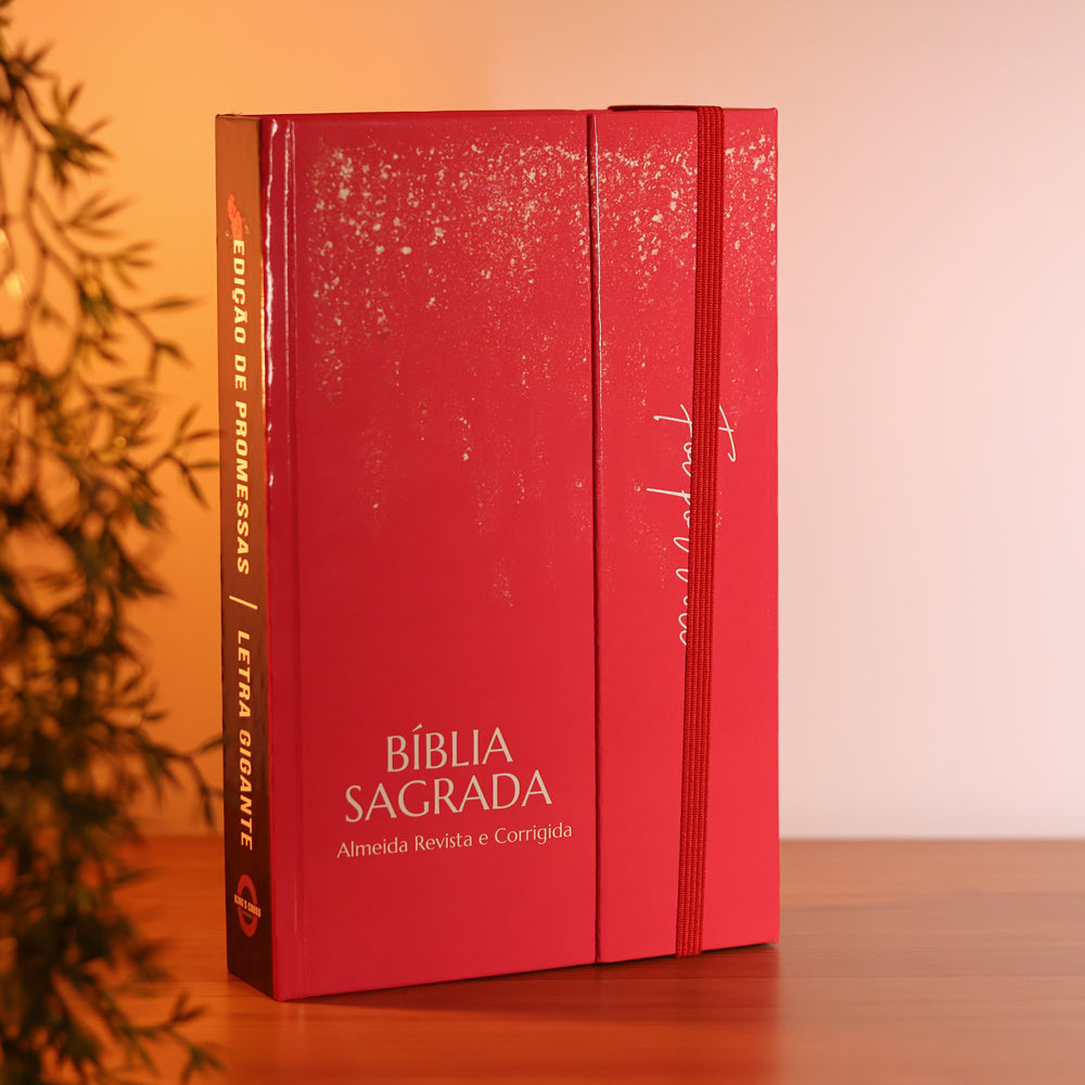 Bíblia Sagrada Rose Love | ARC | Harpa Pentecostal | Letra Gigante | Capa Dura Panorâmica