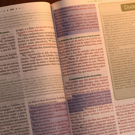 Bíblia da Mulher de Deus | ARC | Harpa Pentecostal | Letra Grande | Capa Dura Flores Lilás
