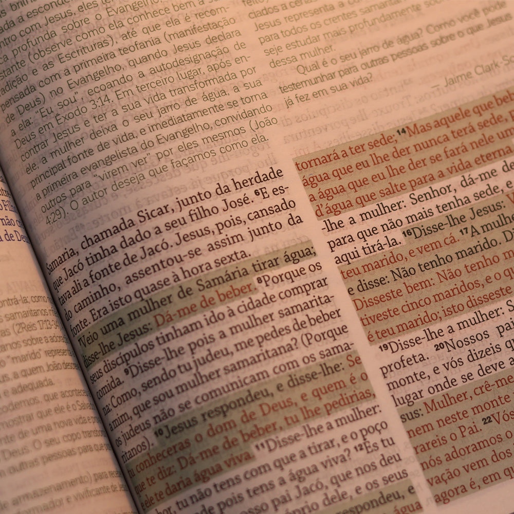 Bíblia da Mulher de Deus | ARC | Harpa Pentecostal | Letra Grande | Capa Dura Leoa