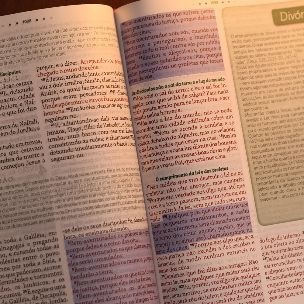 Bíblia da Mulher de Deus | ARC | Harpa Pentecostal | Letra Grande | Capa Dura Beijaflor