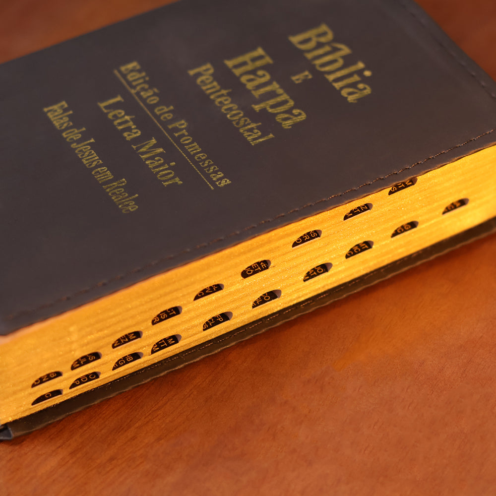 Bíblia e Harpa Média | ARC | Letra Maior | Edição de Promessas | Capa Luxo | Com Índice