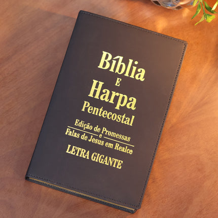 Bíblia e Harpa | ARC | Letra Gigante | Edição de Promessas | Capa Luxo Preta