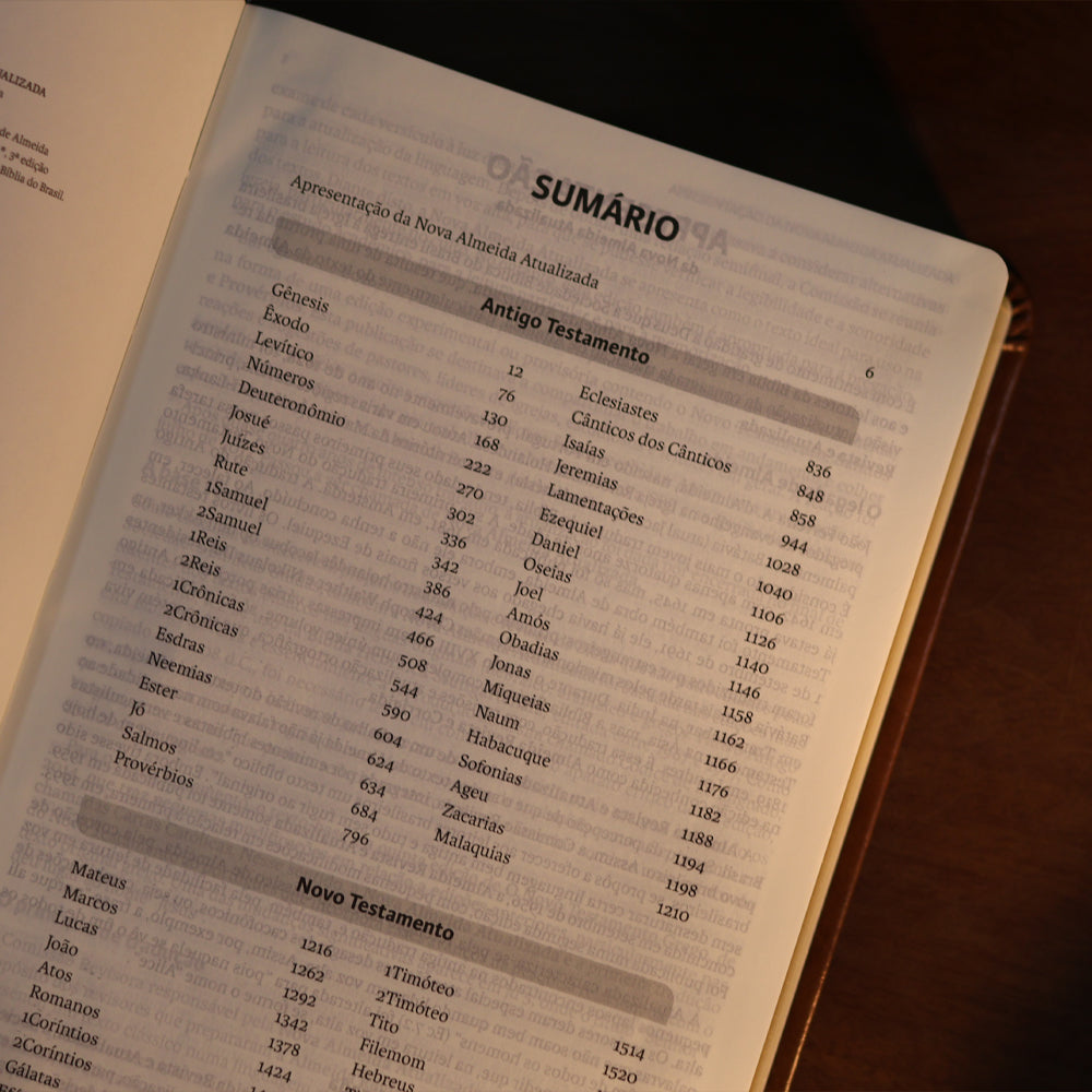 Bíblia Sagrada | NAA | Letra Gigante | Marrom | Editora Vida