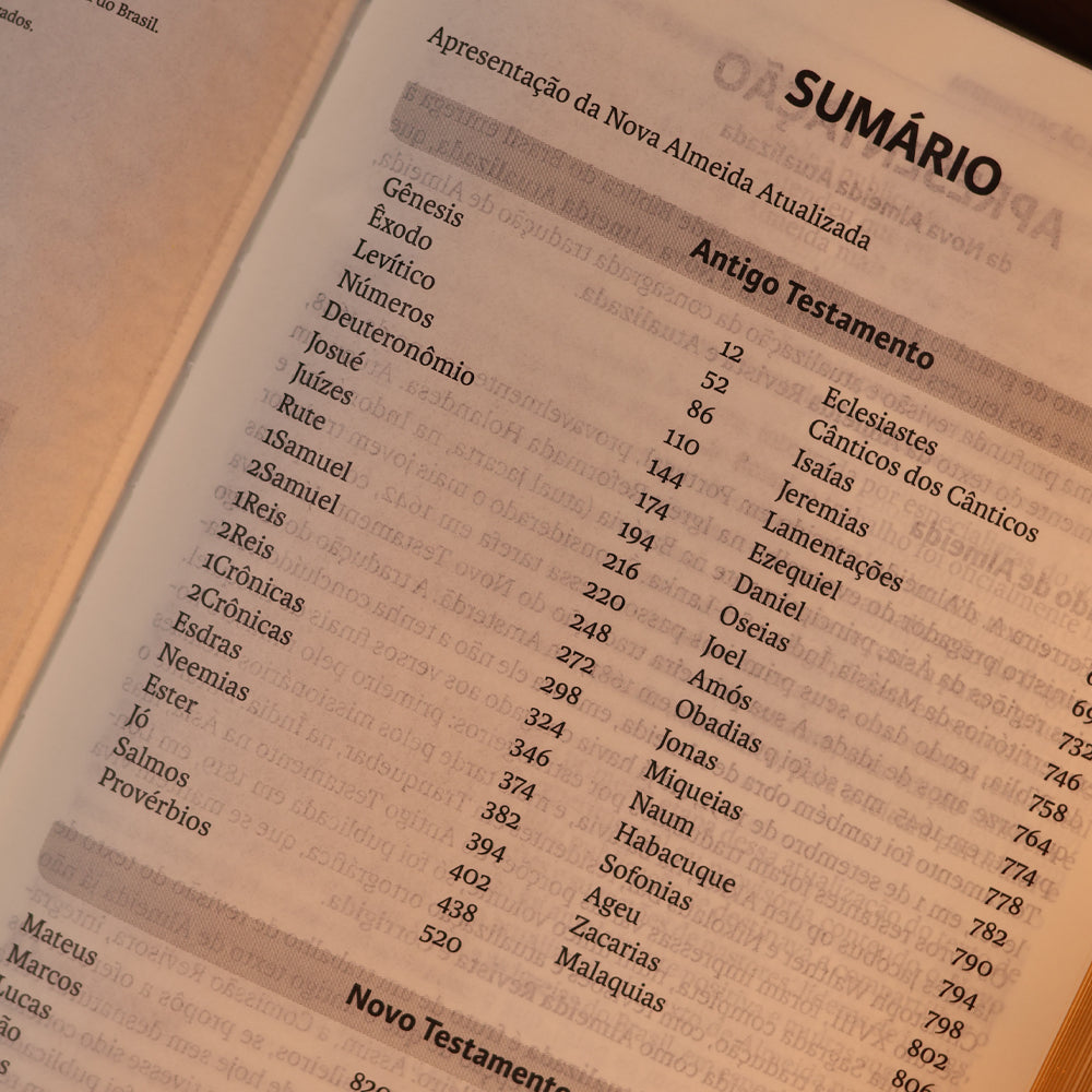 Bíblia Sagrada Slim | NAA | Preta