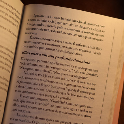 Mulheres Improváveis | Edição Econômica | Viviane Martinello