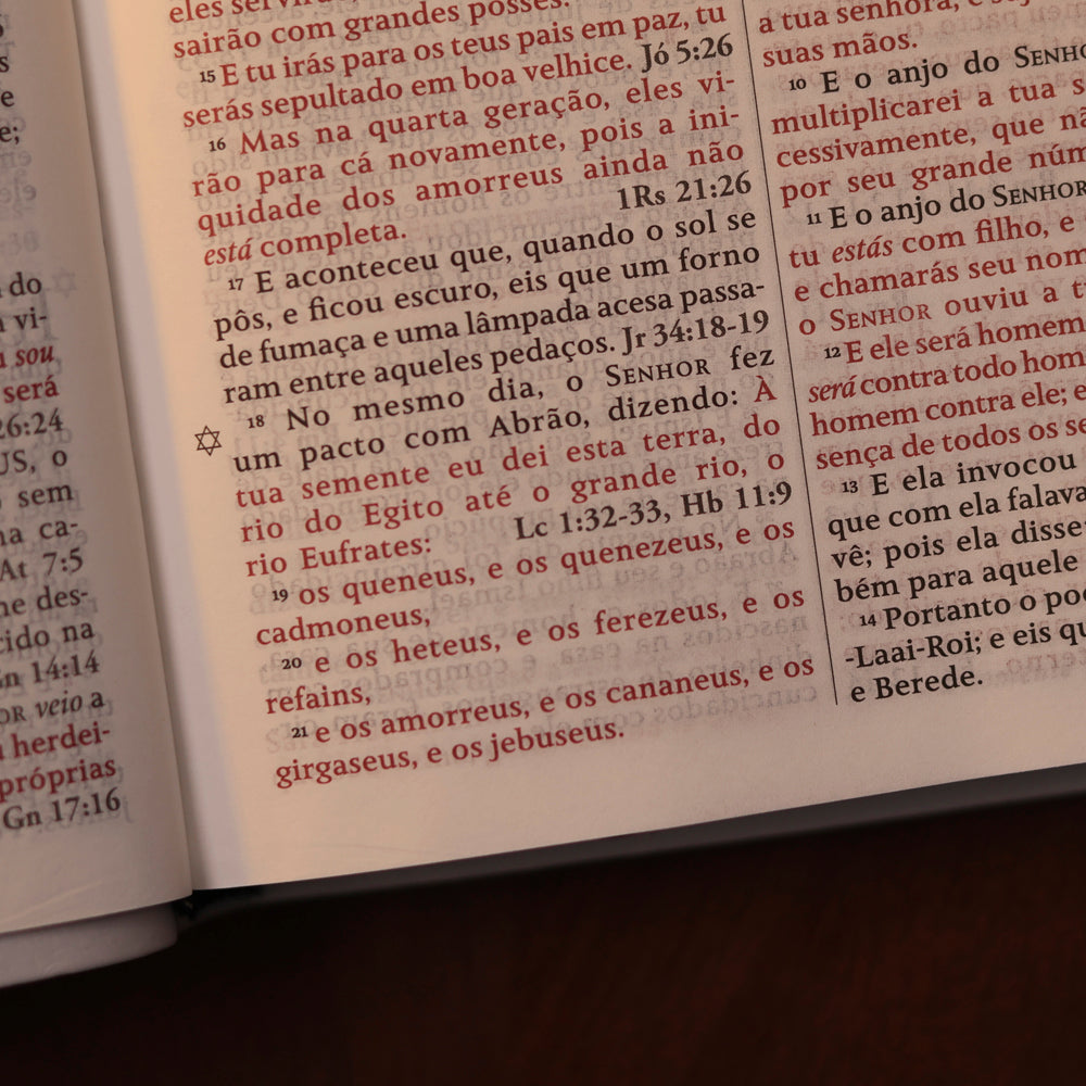 Bíblia King James Fiel 1611 | Concordância e Pilcrows | Capa Luxo Branca