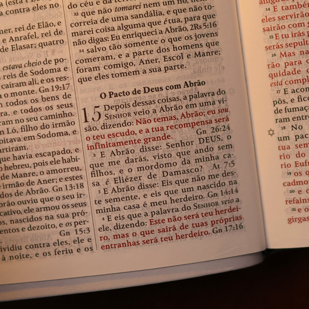 Bíblia King James Fiel 1611 | Concordância e Pilcrows | Capa Luxo Branca